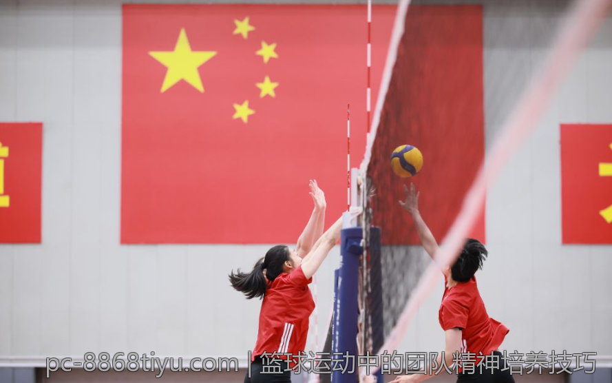 篮球运动中的团队精神培养技巧