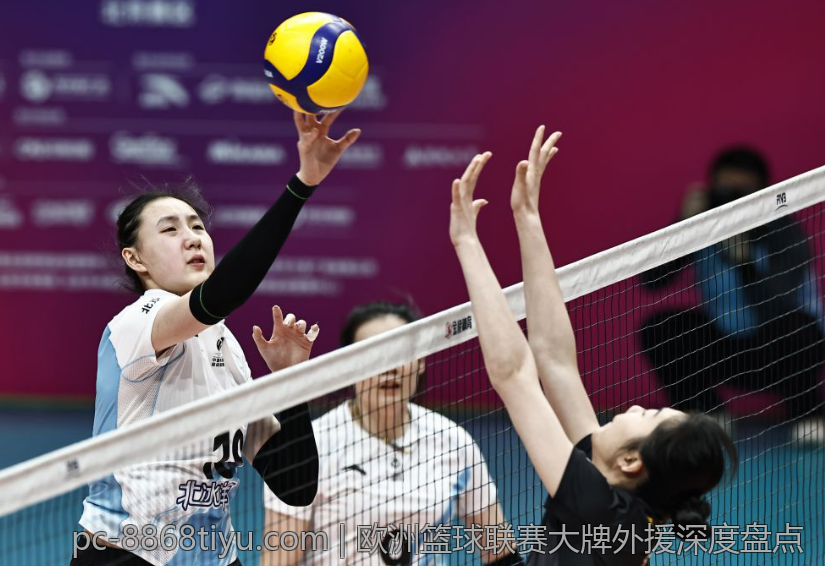 欧洲篮球联赛大牌外援深度盘点