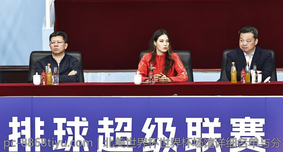 北美世界杯世界杯场馆详细名单与分布分析