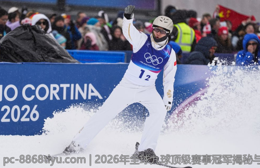 2026年全球九球顶级赛事冠军揭秘与精彩瞬间